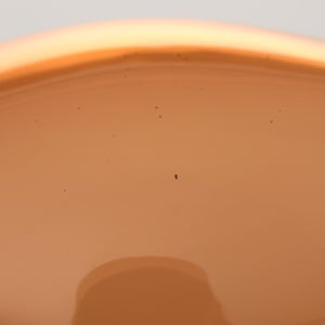 Birds Blue Magpie セビリアオレンジ 0063