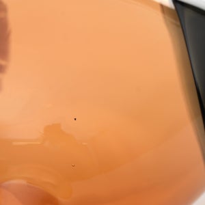 Birds Blue Magpie セビリアオレンジ 0071