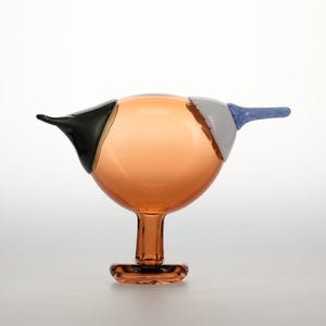 Birds Blue Magpie セビリアオレンジ 0001