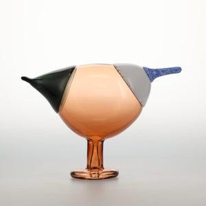 Birds Blue Magpie セビリアオレンジ 0004