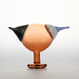 Birds Blue Magpie セビリアオレンジ 0005