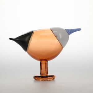 Birds Blue Magpie セビリアオレンジ 0006