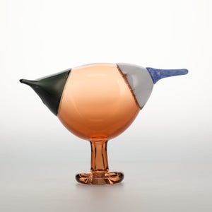 Birds Blue Magpie セビリアオレンジ 0007