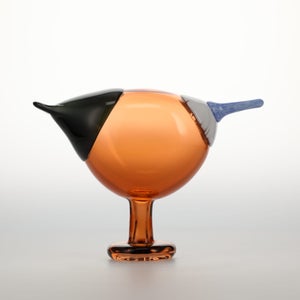 Birds Blue Magpie セビリアオレンジ 0008