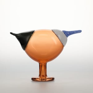 Birds Blue Magpie セビリアオレンジ 0009