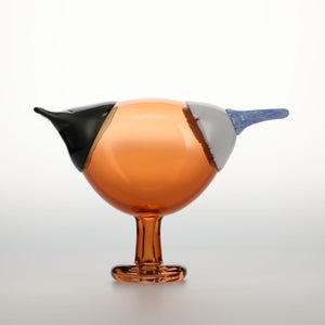 Birds Blue Magpie セビリアオレンジ 0010