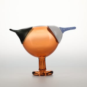 Birds Blue Magpie セビリアオレンジ 0011