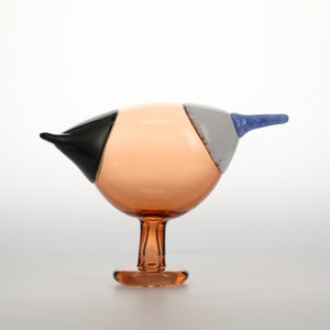 Birds Blue Magpie セビリアオレンジ 0012