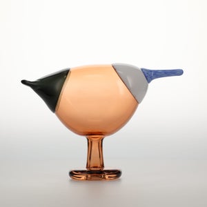 Birds Blue Magpie セビリアオレンジ 0013