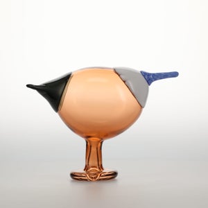 Birds Blue Magpie セビリアオレンジ 0014