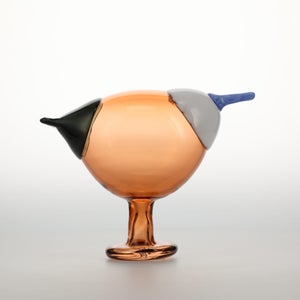 Birds Blue Magpie セビリアオレンジ 0015