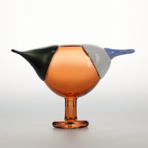 Birds Blue Magpie セビリアオレンジ 0016