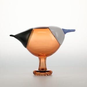 Birds Blue Magpie セビリアオレンジ 0018