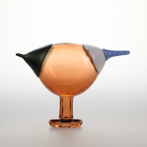 Birds Blue Magpie セビリアオレンジ 0019