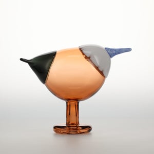 Birds Blue Magpie セビリアオレンジ 0020