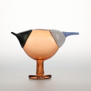 Birds Blue Magpie セビリアオレンジ 0024