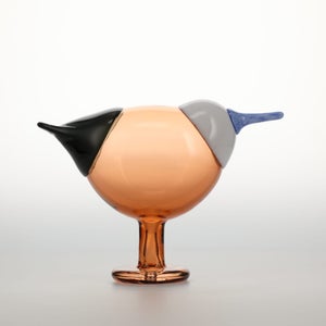 Birds Blue Magpie セビリアオレンジ 0026