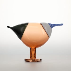 Birds Blue Magpie セビリアオレンジ 0027