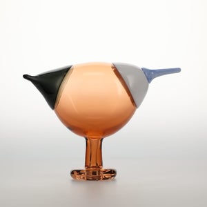 Birds Blue Magpie セビリアオレンジ 0028