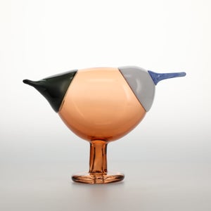 Birds Blue Magpie セビリアオレンジ 0029