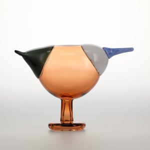 Birds Blue Magpie セビリアオレンジ 0030