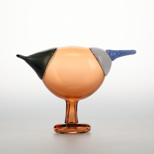 Birds Blue Magpie セビリアオレンジ 0032