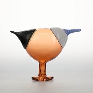 Birds Blue Magpie セビリアオレンジ 0035