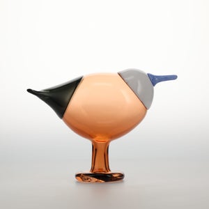 Birds Blue Magpie セビリアオレンジ 0036