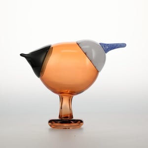 Birds Blue Magpie セビリアオレンジ 0037