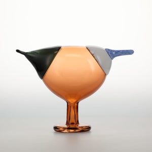 Birds Blue Magpie セビリアオレンジ 0038