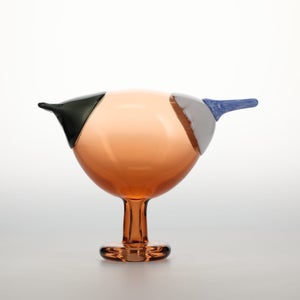 Birds Blue Magpie セビリアオレンジ 0040