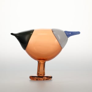 Birds Blue Magpie セビリアオレンジ 0042