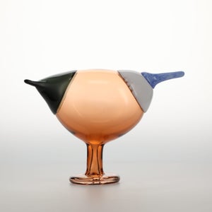 Birds Blue Magpie セビリアオレンジ 0043