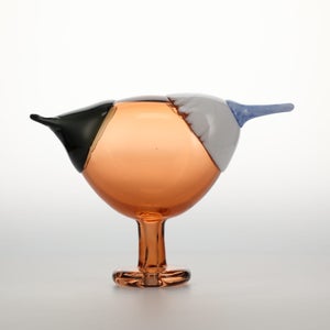 Birds Blue Magpie セビリアオレンジ 0044