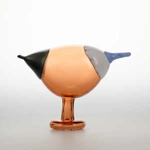 Birds Blue Magpie セビリアオレンジ 0045