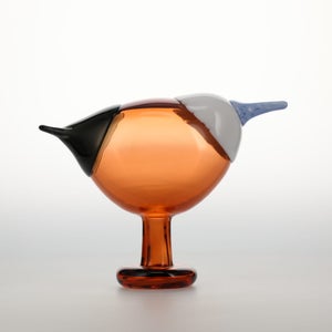 Birds Blue Magpie セビリアオレンジ 0047