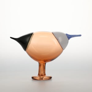 Birds Blue Magpie セビリアオレンジ 0048