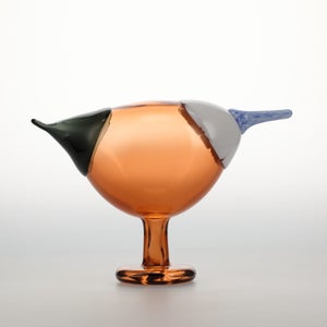 Birds Blue Magpie セビリアオレンジ 0050