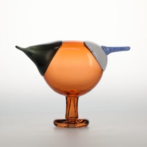 Birds Blue Magpie セビリアオレンジ 0051