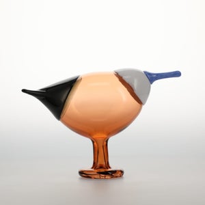 Birds Blue Magpie セビリアオレンジ 0052