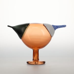 Birds Blue Magpie セビリアオレンジ 0056