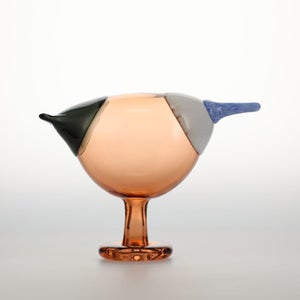 Birds Blue Magpie セビリアオレンジ 0058