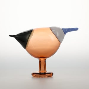 Birds Blue Magpie セビリアオレンジ 0059