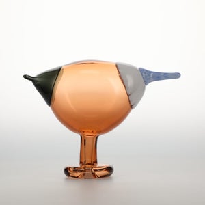 Birds Blue Magpie セビリアオレンジ 0063