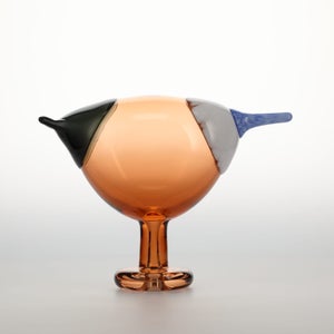 Birds Blue Magpie セビリアオレンジ 0066