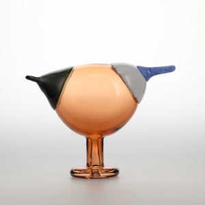 Birds Blue Magpie セビリアオレンジ 0067