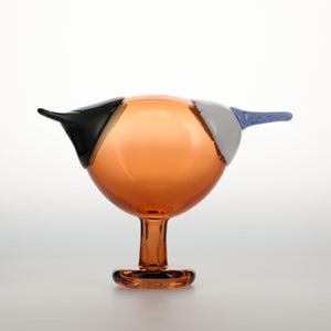 Birds Blue Magpie セビリアオレンジ 0068