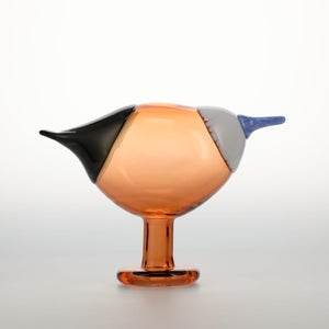 Birds Blue Magpie セビリアオレンジ 0069