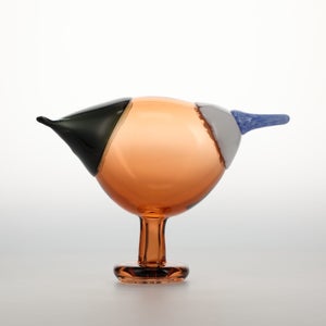 Birds Blue Magpie セビリアオレンジ 0070