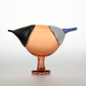 Birds Blue Magpie セビリアオレンジ 0073